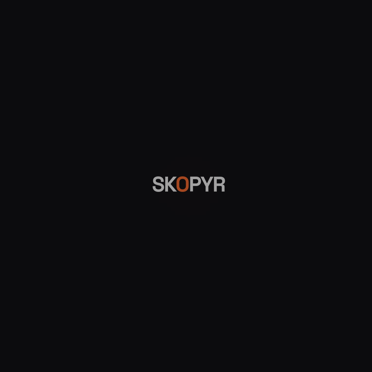 Preview of Skopyr service marketplace